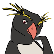 Yuki-Logo, Felsenpinguin